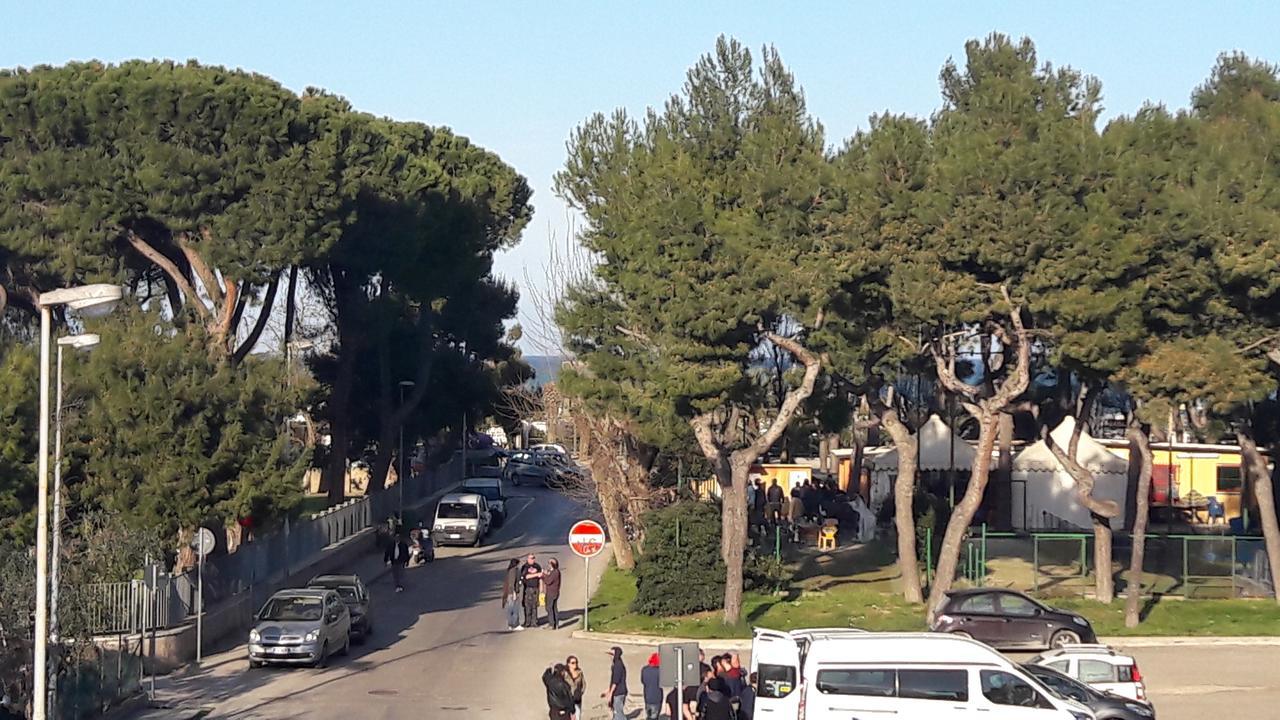 Incanto Sotto Il Mare *